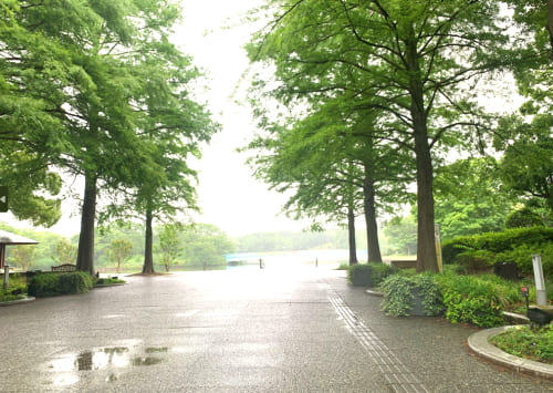 大阪市東住吉区長居公園内　長居植物園の正門から入った光景