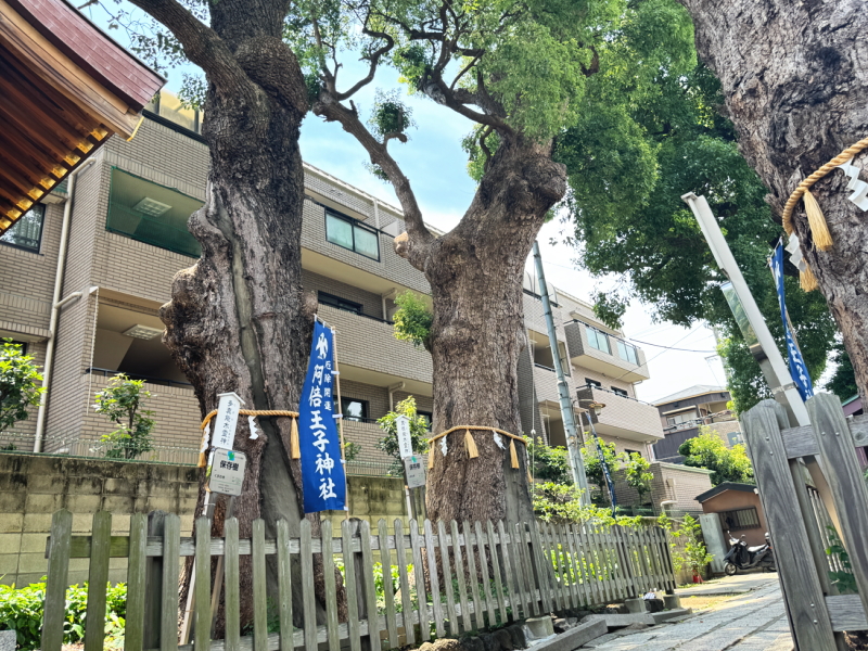 王子神社にある4柱の御神木