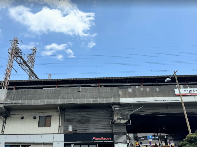 南海住吉大社駅でめっちゃ飛んでたとんぼ