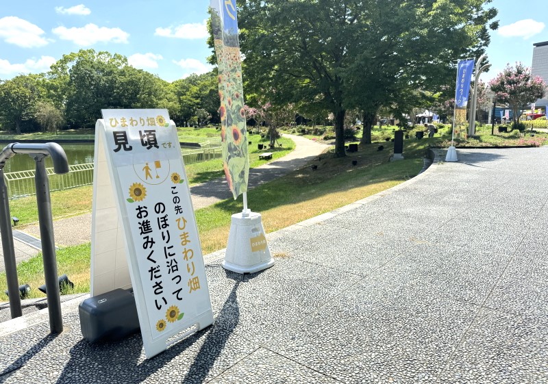 長居植物園ひまわり畑までの経路