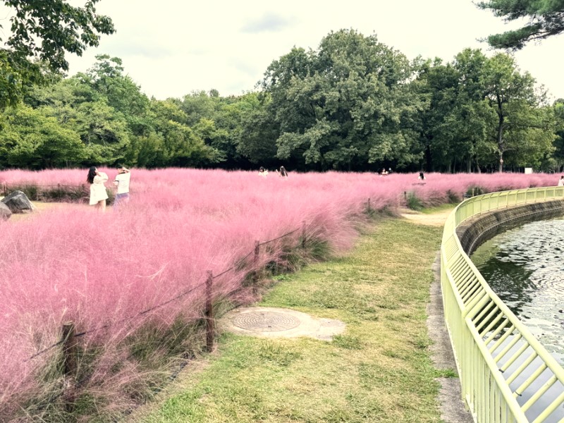 長居公園「グラスフェア」のカピラリス