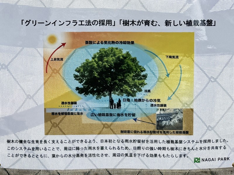 長居公園みどりの再興プロジェクト北入口（桜の入口）整備工事