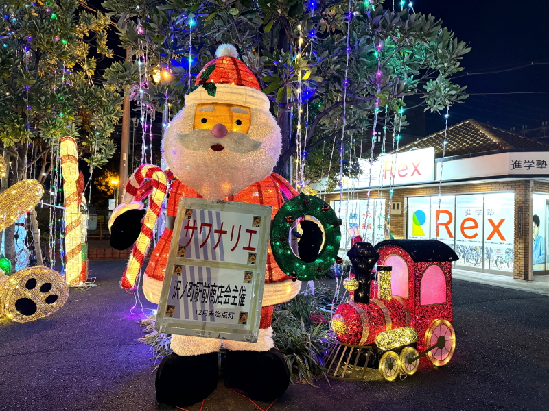 住吉区殿辻　南海高野線沢之町駅のクリスマスイルミネーション「サワナリエ」