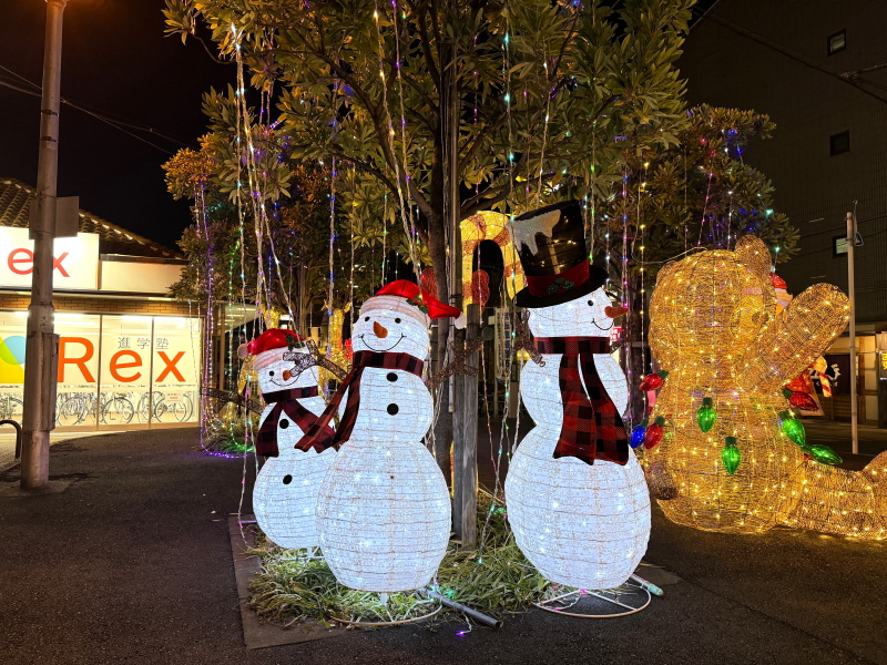 住吉区殿辻　南海高野線沢之町駅のクリスマスイルミネーション「サワナリエ