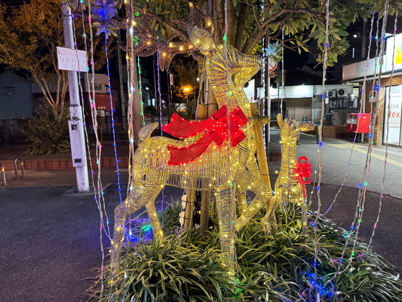 住吉区殿辻　南海高野線沢之町駅のクリスマスイルミネーション「サワナリエ