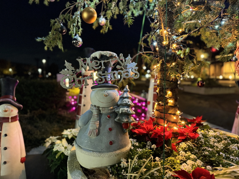 長居公園クリスマスイルミネーション「ナガイリエ」