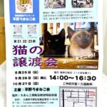 【平野加美】平野ろまねこ会の猫の譲渡会チラシ