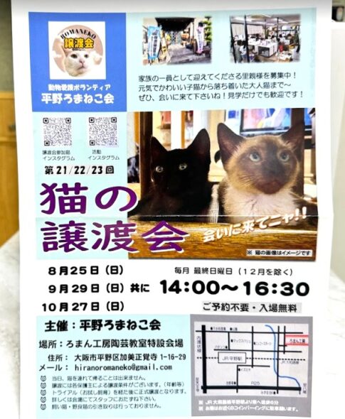 【平野加美】平野ろまねこ会の猫の譲渡会チラシ