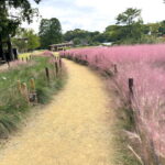 長居公園「グラスフェア」のカピラリス