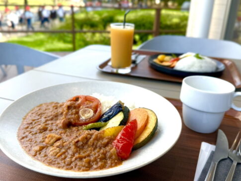 ヤンマーマルシェ長居(YANMAR MARCHÉ NAGAI)のハンバーグとカレー