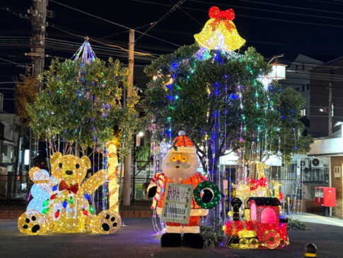 住吉区殿辻　南海高野線沢之町駅のクリスマスイルミネーション「サワナリエ