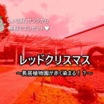 長居植物園が赤く染まる！？レッドクリスマス