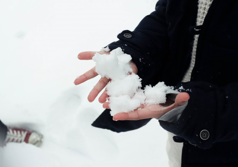 長居公園雪体験イベント２０２４年