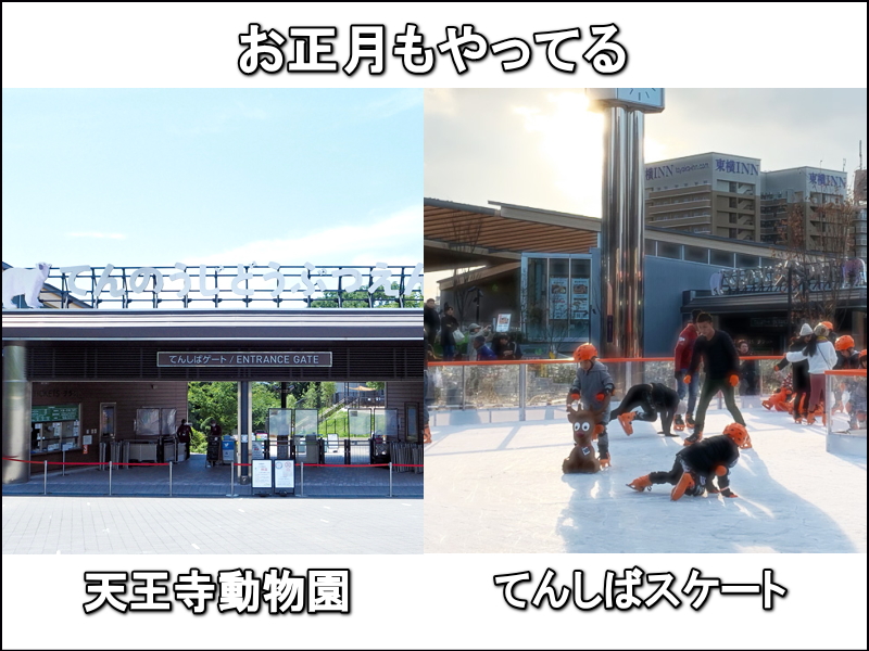 【天王寺動物園】元旦から営業。てんしばスケートリンク