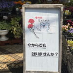 「母の日忘れてました」長居フラワーショップこうじゅえん