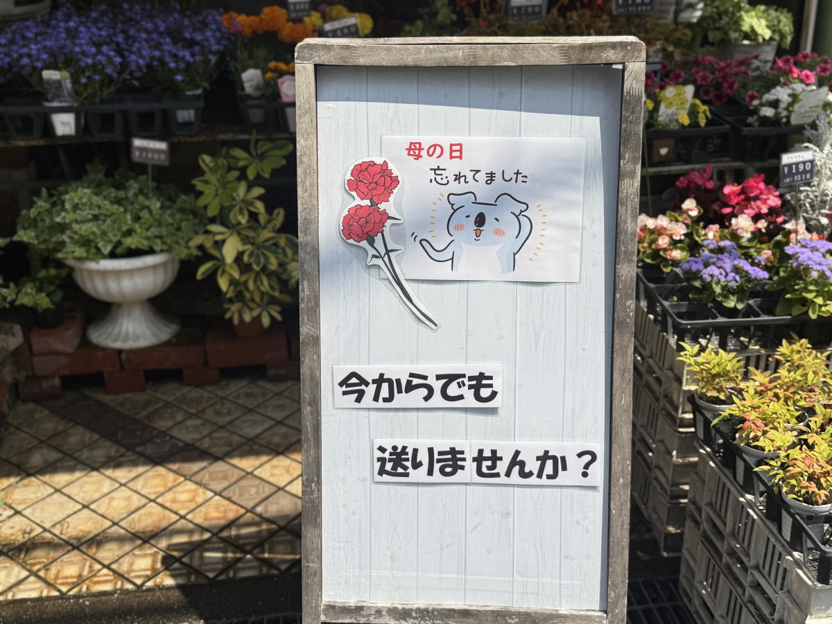 「母の日忘れてました」長居フラワーショップこうじゅえん