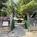 【2025年】住吉区・生根神社（奥の天神）の夏祭り