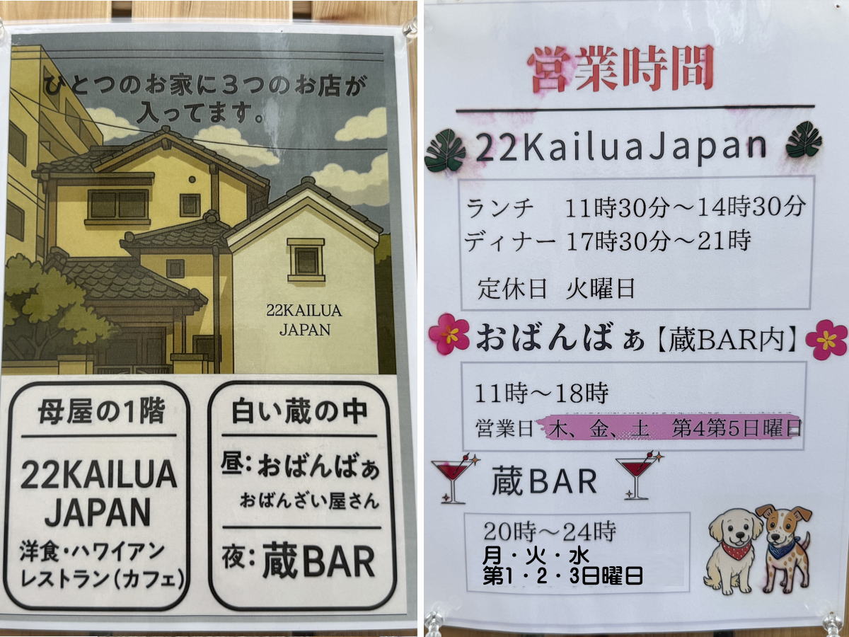 22カイルアジャパン