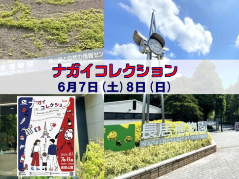 ナガイコレクション