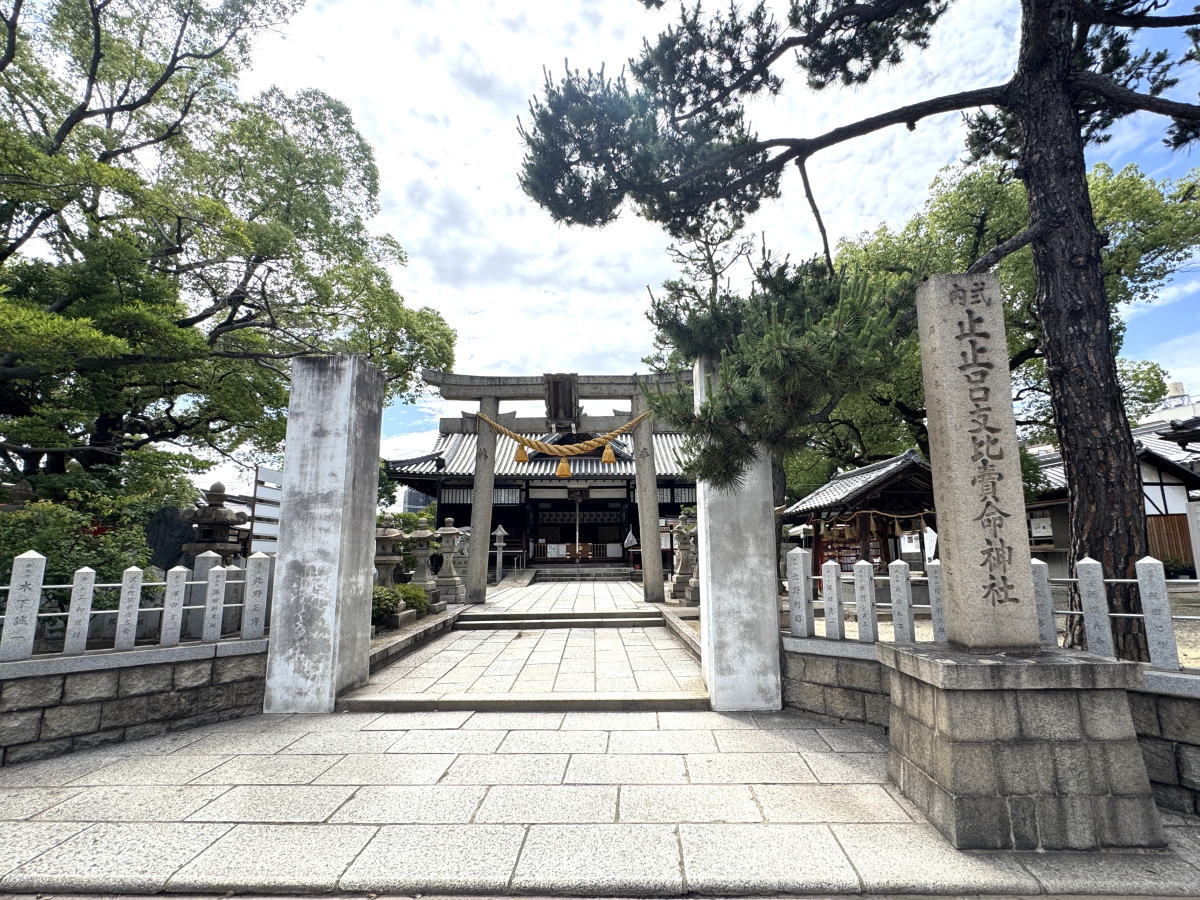 「若松神社夏祭り」止止呂支比賣命神社（とどろきひめみこと）7月11日12日