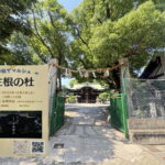 神社でマルシェ「 生根の杜」のチラシ