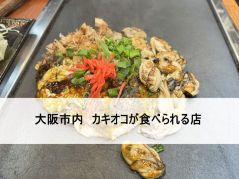 【住吉の近所】比較的近くでカキオコが食べられる店まとめ【すみつーまとめ】