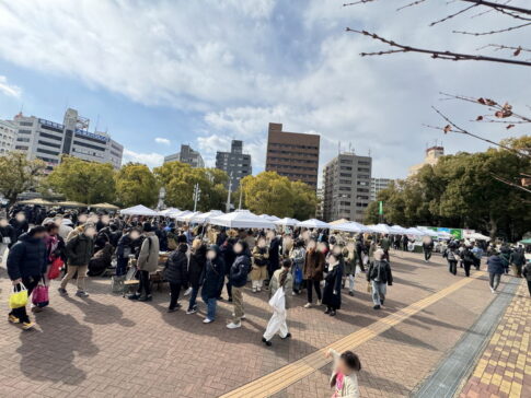 長居公園「蚤の市」2024年の様子
