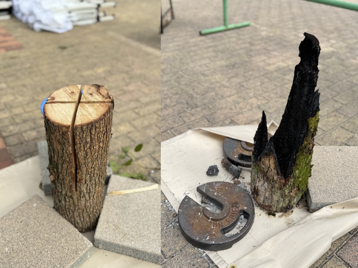 長居蚤の市のスウェーデントーチ（焚火でマシュマロ焼き）体験