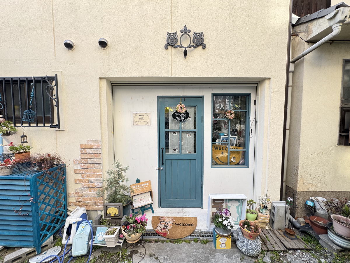 ドックグッツShop「泉嘉(イズカ)」こんなところに犬のこんなお店が!【お店見せて】