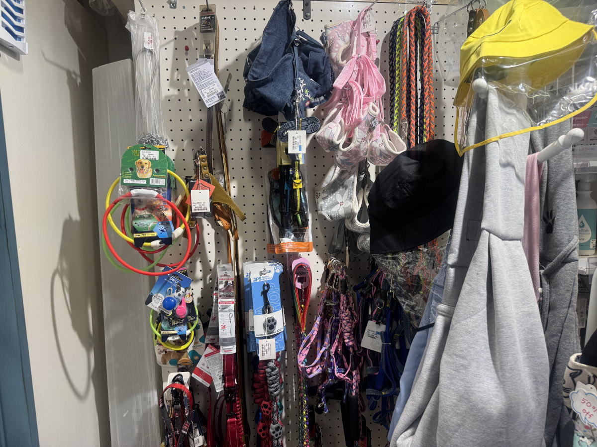 ペットショップ（犬猫グッズ専門店）「泉嘉(イズカ)」