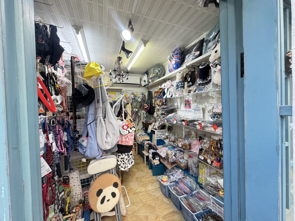 ペットショップ（犬猫グッズ専門店）「泉嘉(イズカ)」の店内