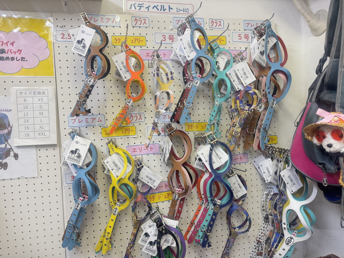 ペットショップ（犬猫グッズ専門店）「泉嘉(イズカ)」メガネハーネス