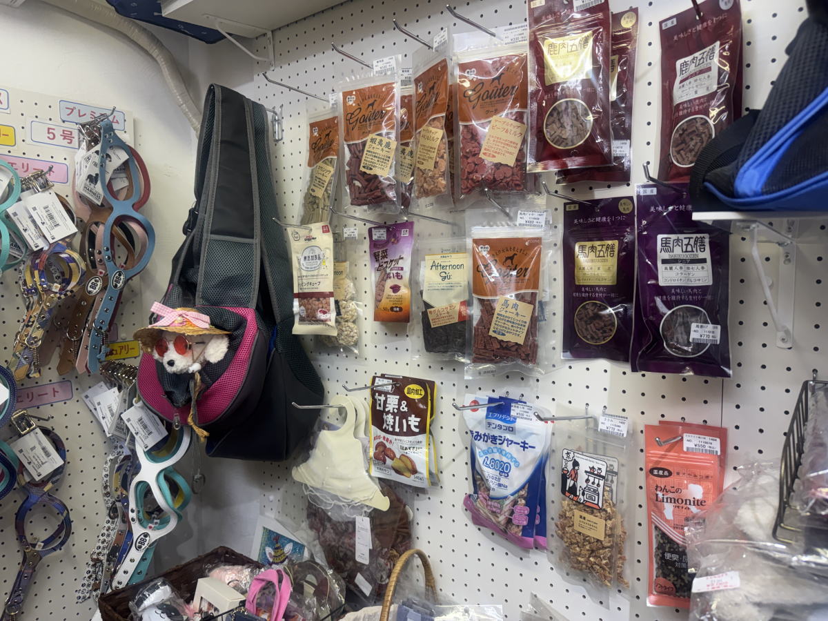 ペットショップ（犬猫グッズ専門店）「泉嘉(イズカ)」