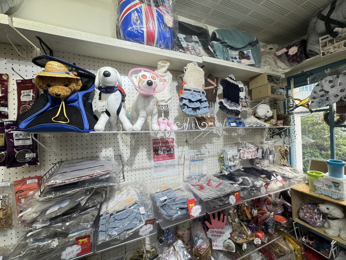 ペットショップ（犬猫グッズ専門店）「泉嘉(イズカ)」