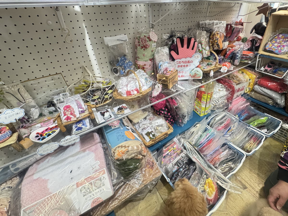 ペットショップ（犬猫グッズ専門店）「泉嘉(イズカ)」