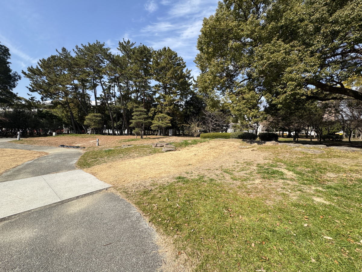 長居公園「郷土の森」芝生広場みたいになってる。工事してたとこ