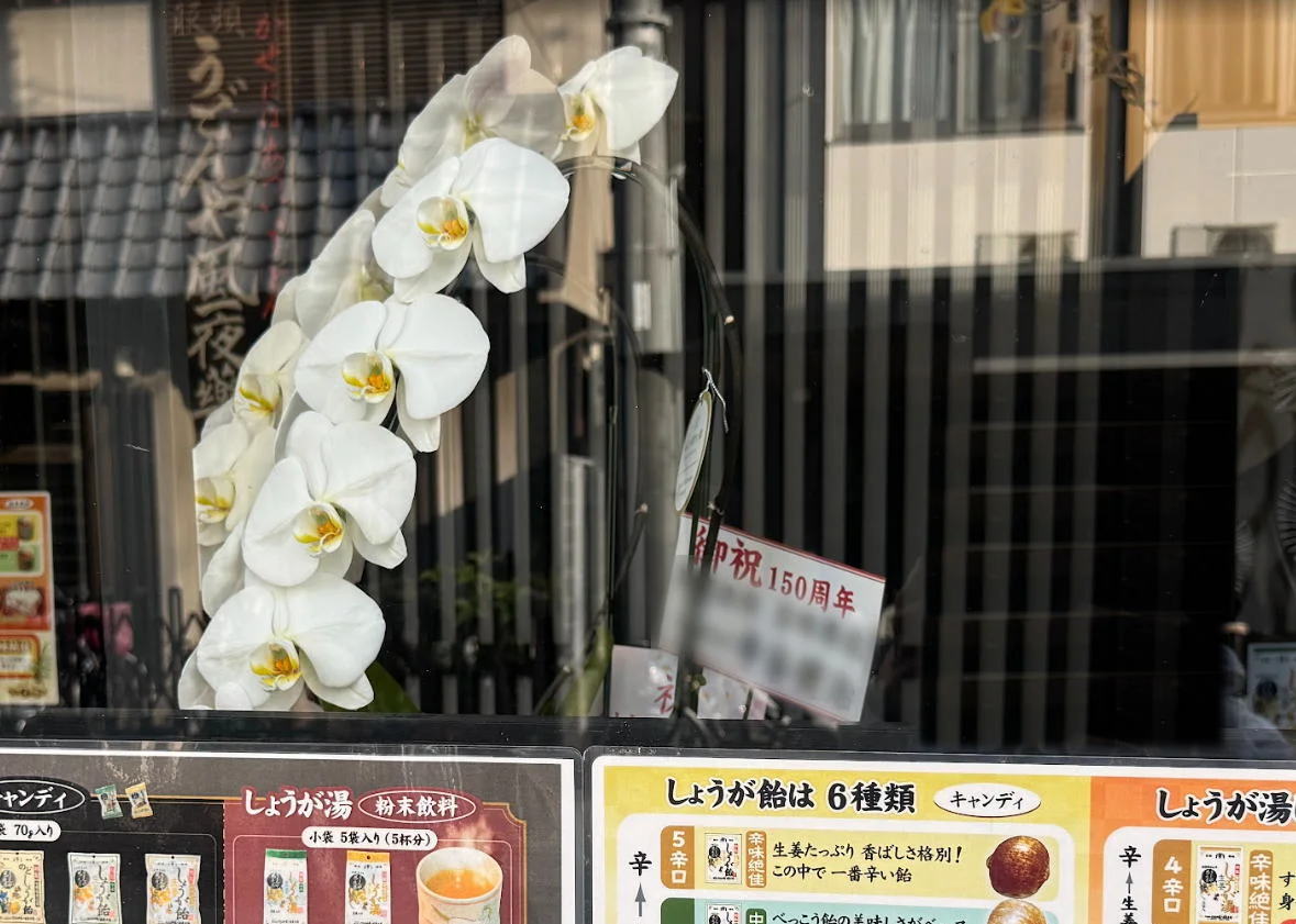 「うどんや風一夜薬本舗」