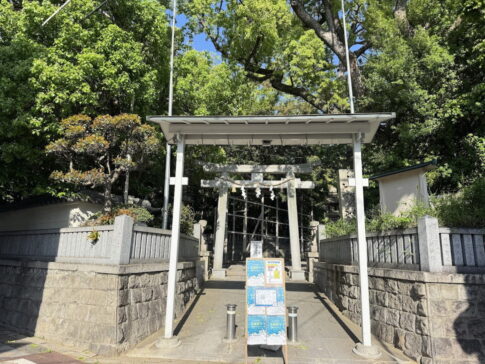 5.3フェス 子供祭り