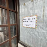 【昭和町】ドッグサロン「will&Tiar(ウィルティア)」オープンするみたい。ただいま開店準備中！