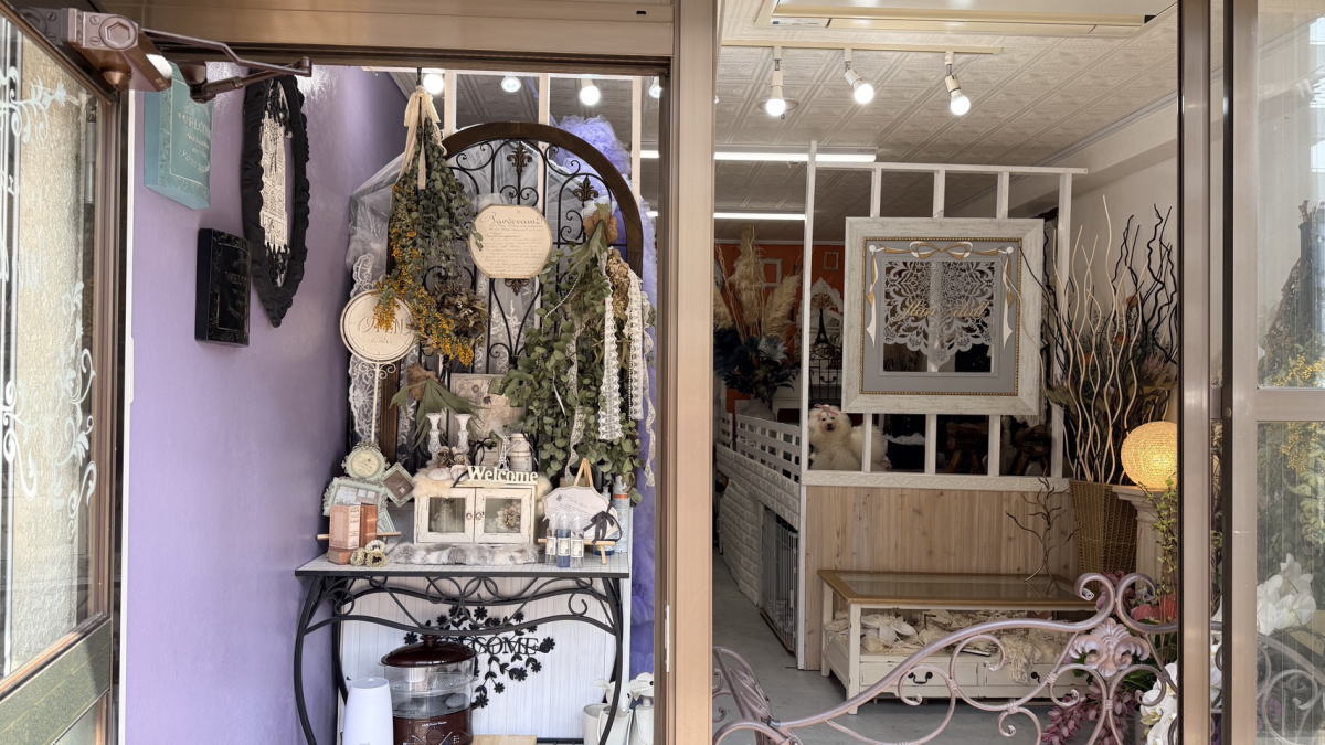 【南住吉】ドッグエステサロン「flan・doll・sherry」リニューアルオープンしたみたい。わんちゃんに極上の健康と癒しを♪