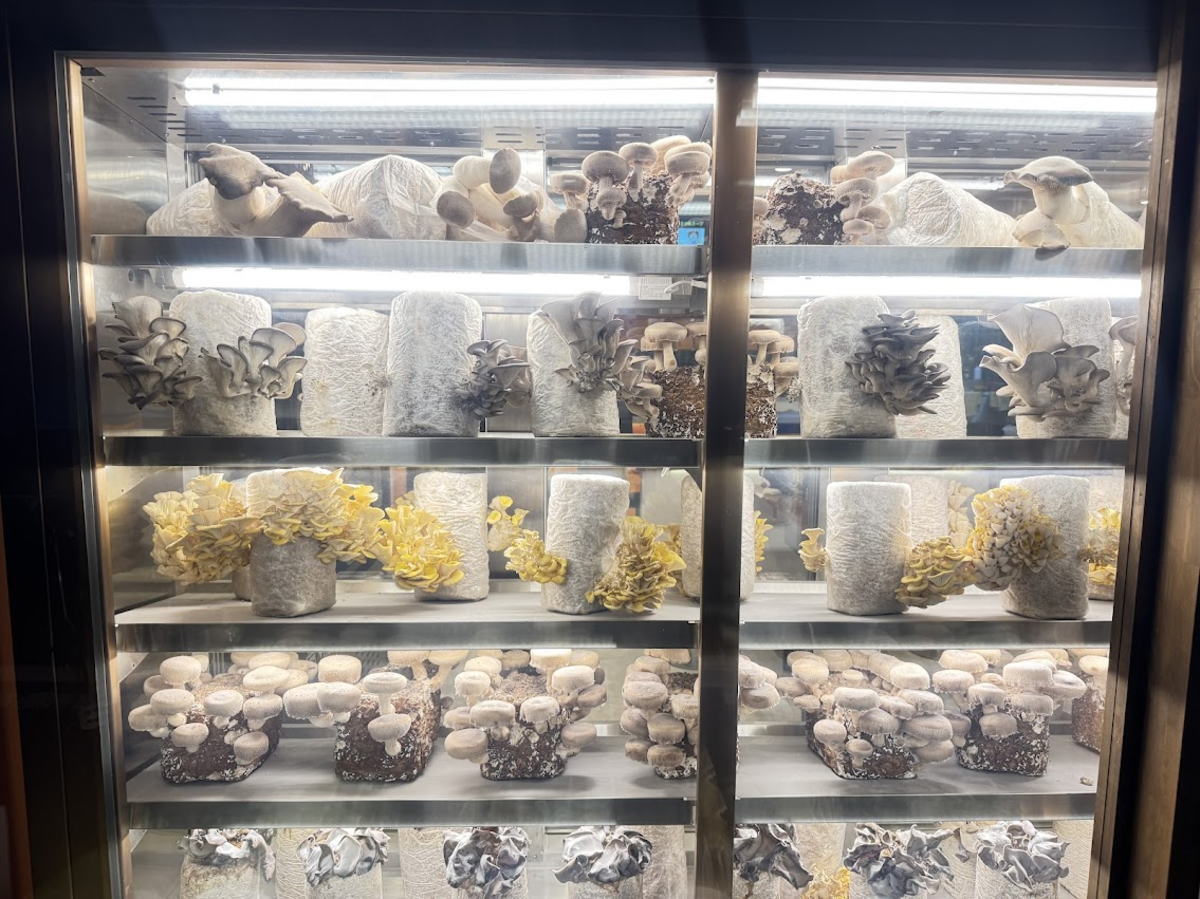 「元気Yoshi麻辣湯」明日プレオープン