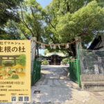 生根神社マルシェ「第2回生根の杜」