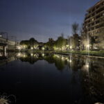 長池公園がまるで観光地。「逆さ桜とやなぎ」がすごすぎた。「たこ焼き まるちゃん」のイカ焼きと夜景