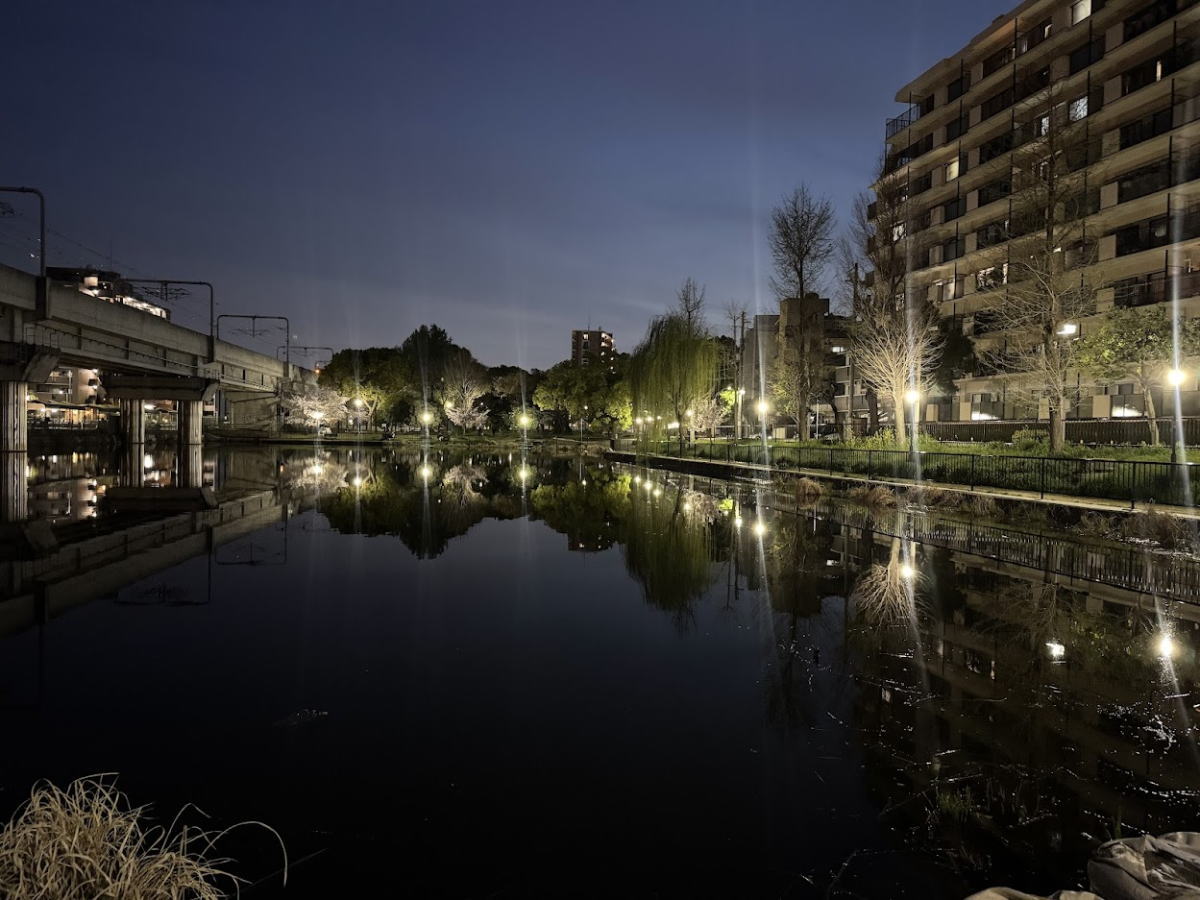 長池公園がまるで観光地。「逆さ桜とやなぎ」がすごすぎた。「たこ焼き まるちゃん」のイカ焼きと夜景