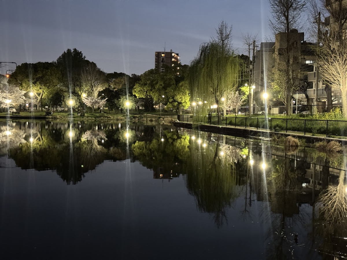 長池公園がまるで観光地。「逆さ桜とやなぎ」がすごすぎた。「たこ焼き まるちゃん」のイカ焼きと夜景