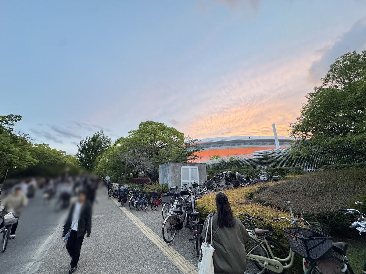 ライトアップ
