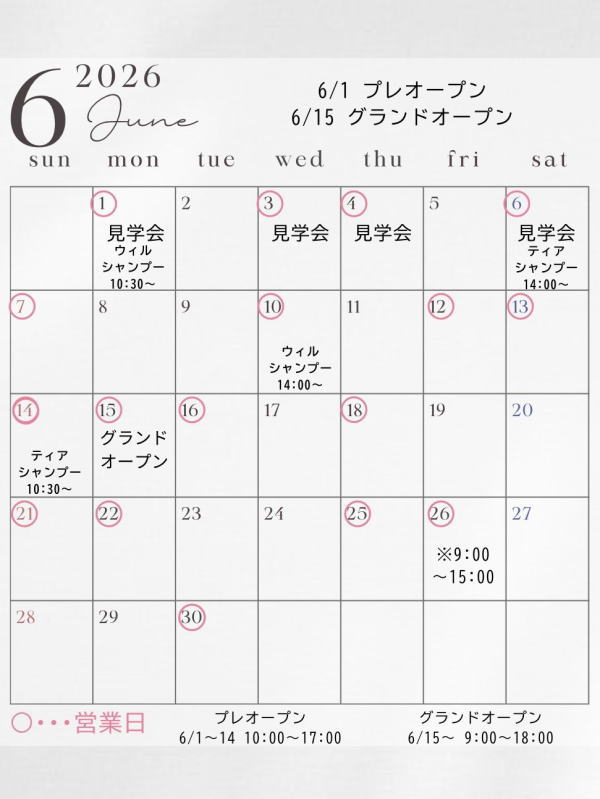 ドッグサロン「will&Tiar」6月1日プレオープン5日グランドオープン！店内＆トリミング見学会もやってる。