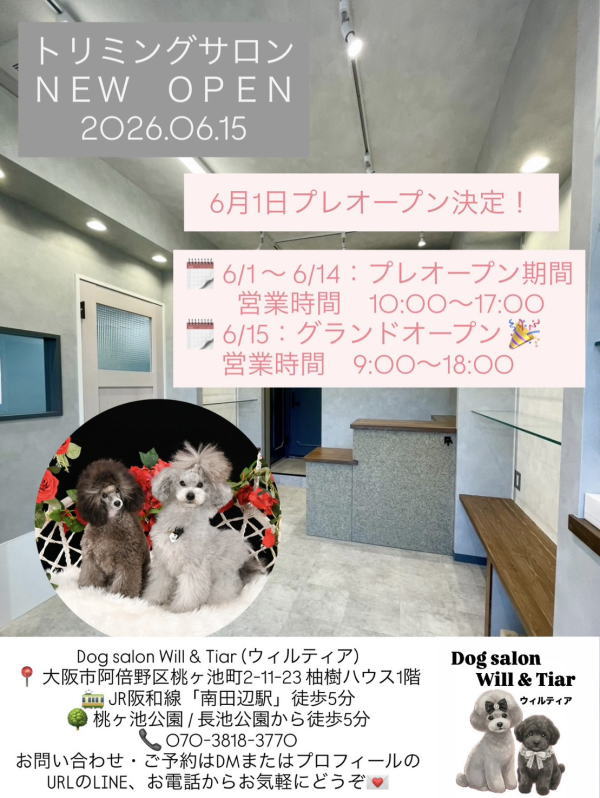 ドッグサロン「will&Tiar」6月1日プレオープン5日グランドオープン！店内＆トリミング見学会もやってる。