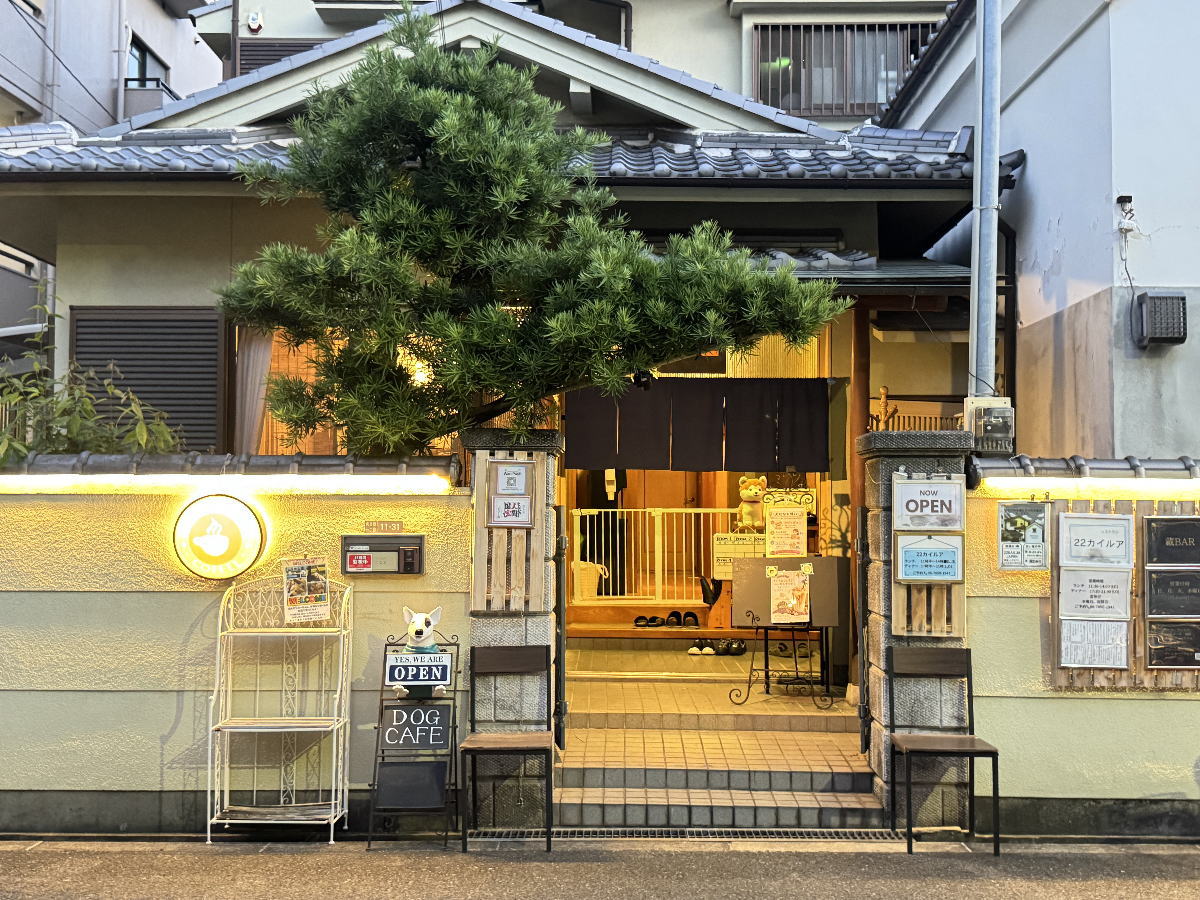 ヘーゼルナッツの沼にハマる人続出！２２カイルア「アイスカフェラテ ヘーゼルナッツフレーバー」　