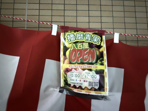 「播磨青果」がオープンしてたみたい。いつでも新鮮野菜やくだものが大特価のお店